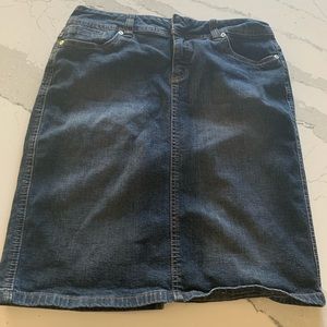 Cute Aline Jean Skirt